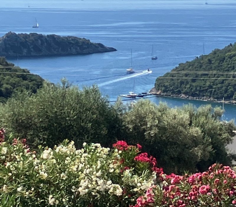 Stunning views