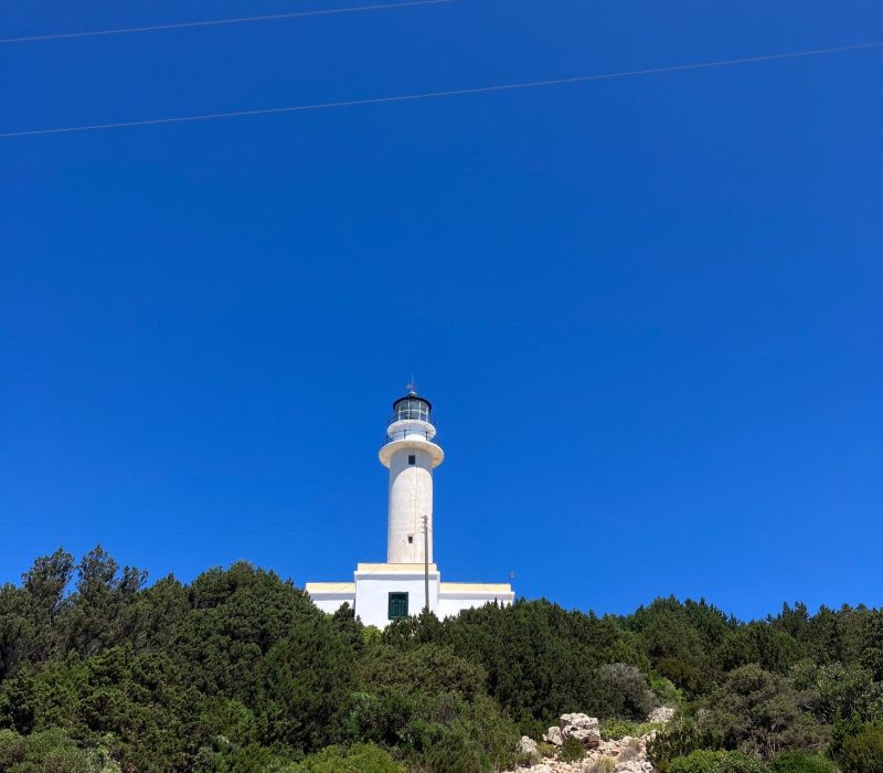 Visit the light house